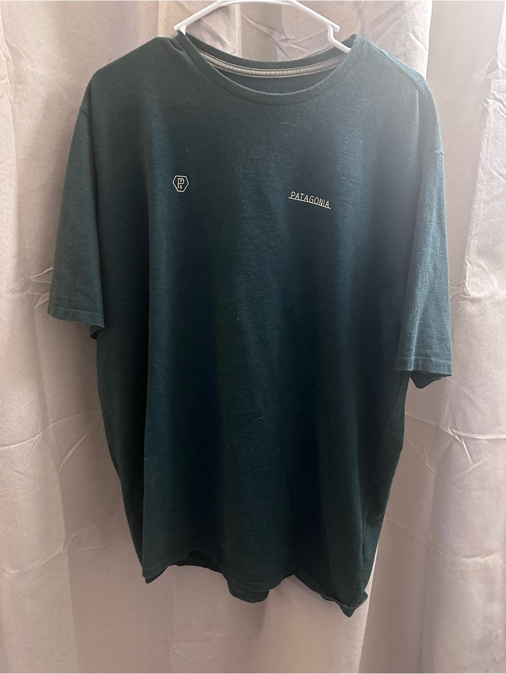 Patagonia Men's Forest Green Logo Tee